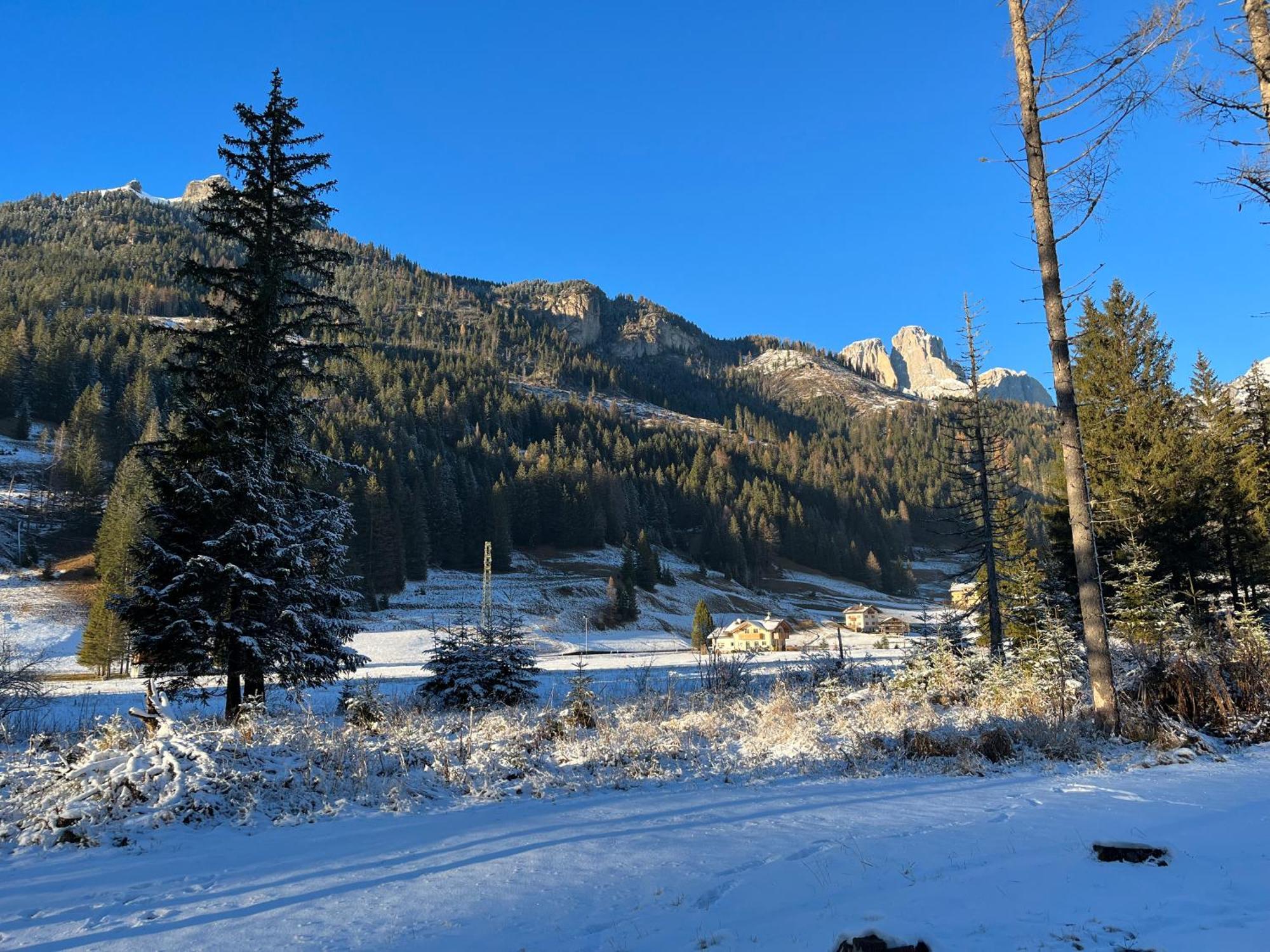 Mes Lastei Lejlighed Campitello di Fassa Eksteriør billede