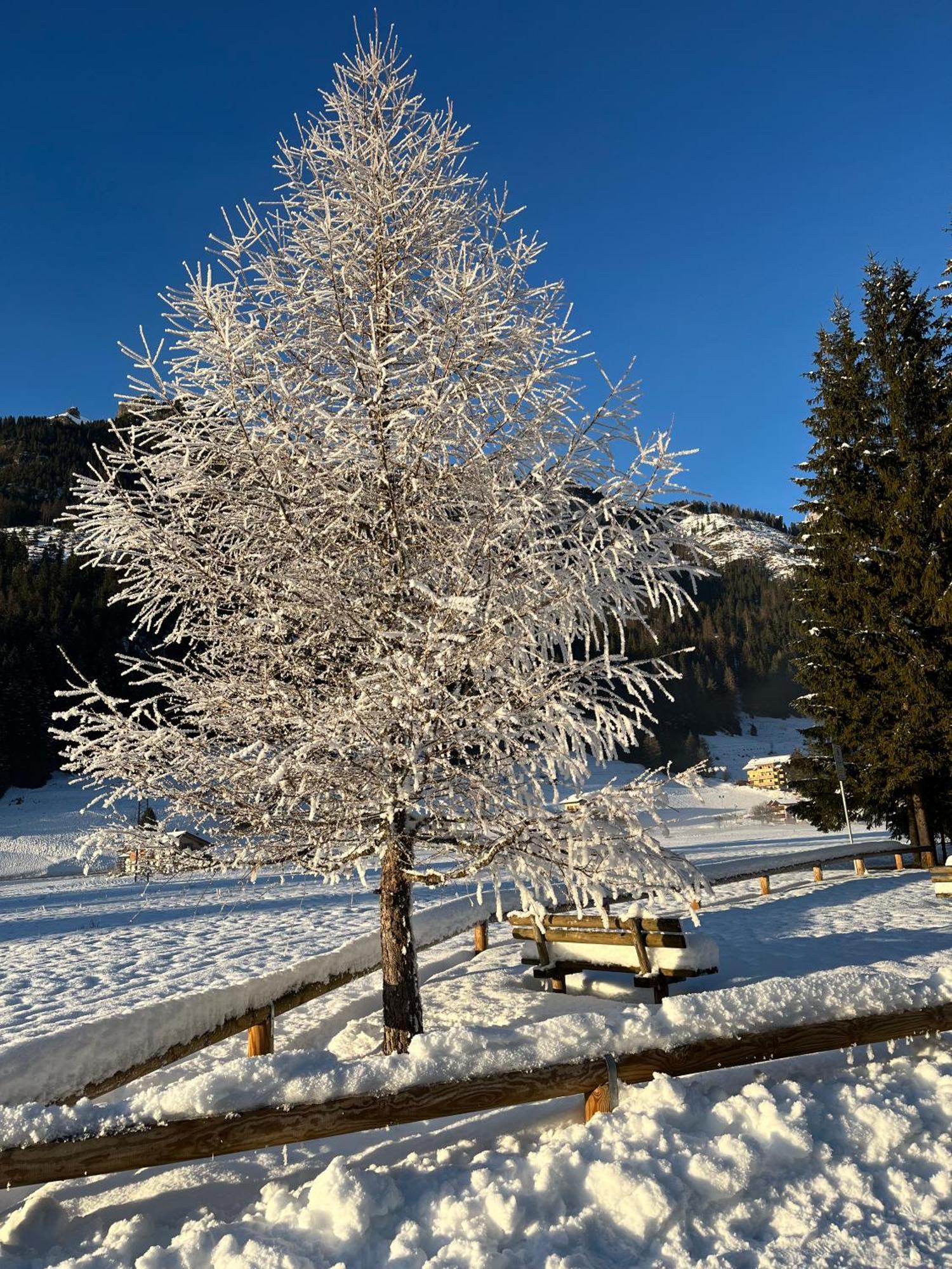 Mes Lastei Lejlighed Campitello di Fassa Eksteriør billede